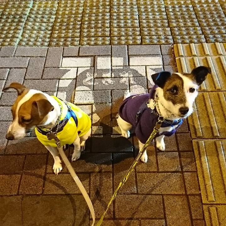 B9a7dfd9 3b72 4502 8de3 41d49d2a81f8 1550669013713