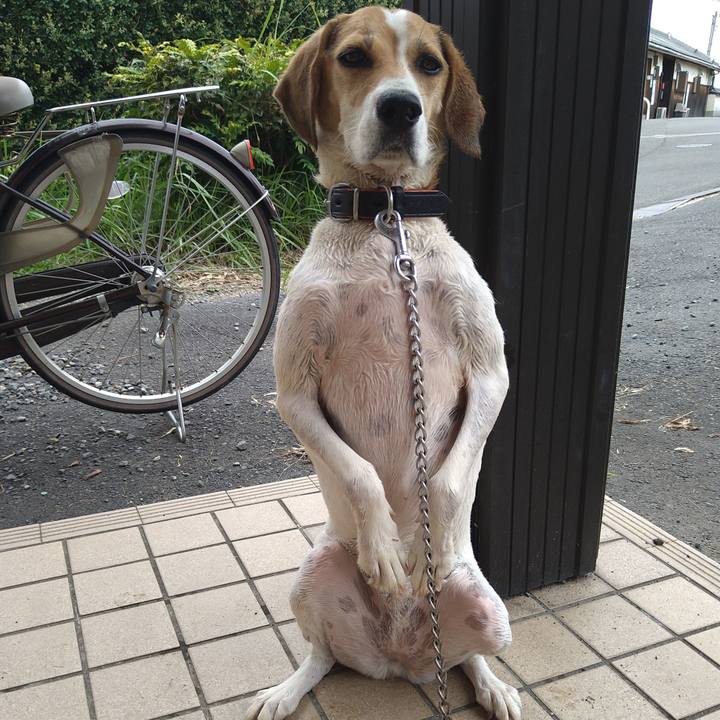 B9a7e17c b051 40a5 991a f3f134973df1 1629776448804