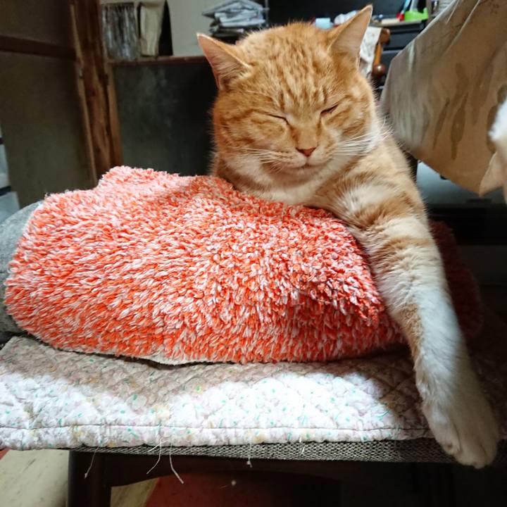 B9a7e421 39ab 40cb 931e 195dd6b09115 1580676896604