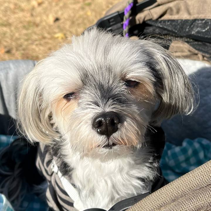 B9a7f886 27c8 4de6 b09b 899a646802c0 1765330059858