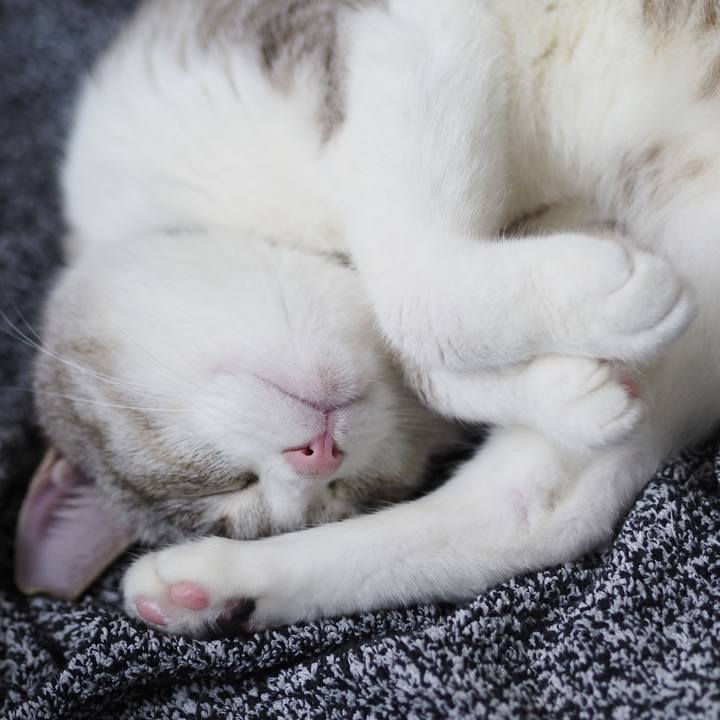 B9a81960 4a1c 46bf a8fd f13d4073ad4e 1621337174014