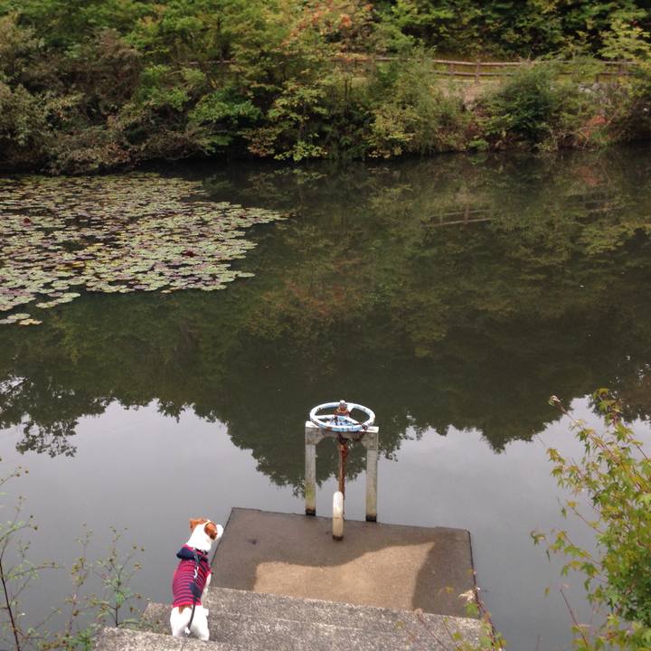 B9a832a8 24d3 40e8 b6aa eb185849eda9 1508572384250