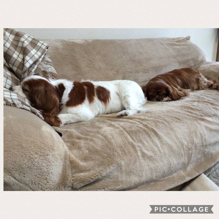 B9a84324 0951 4374 b6c3 97f7548cbde2 1586385102724