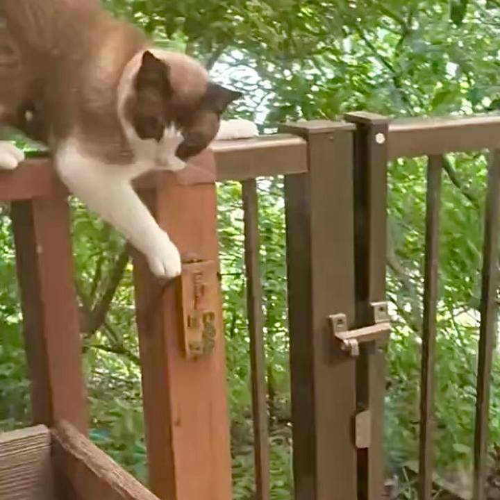 B9a84cd1 532c 446d 8e4f 5852b33d8567 1750075541462