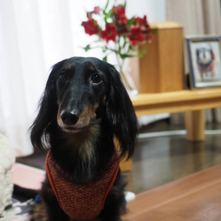 B9a8537e c77c 4b09 98fd 5332e7128a53 1609678028496