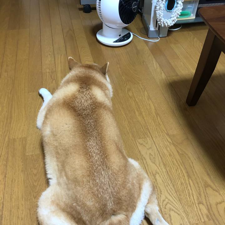 B9a89dc9 bf5e 4c79 aa01 e5243811498a 1592535034645