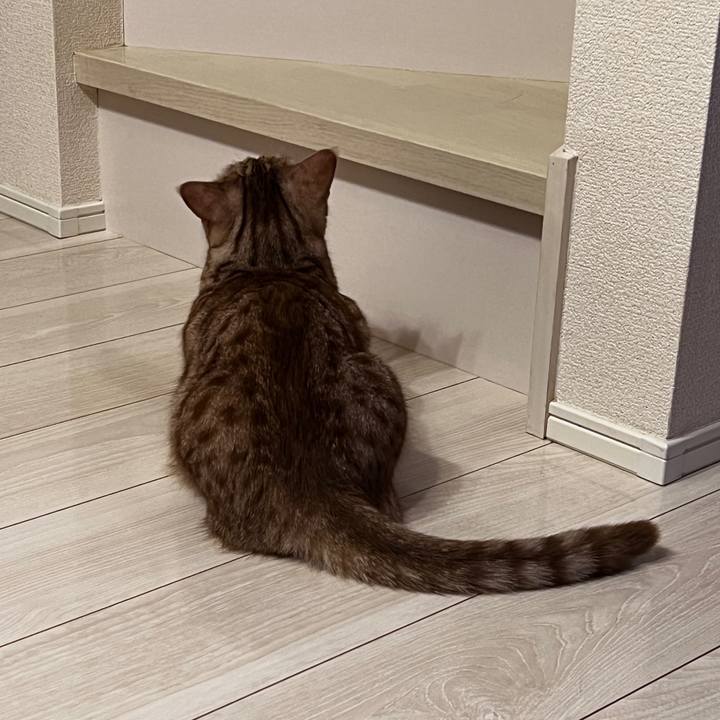 B9a8b43a 0264 464a b6f4 1e64019c7948 1727009699375