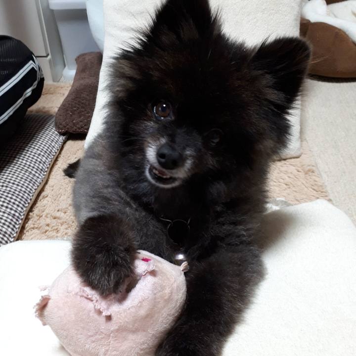 B9a910f9 6dbb 44e1 a011 e425e351d07c 1542587696743