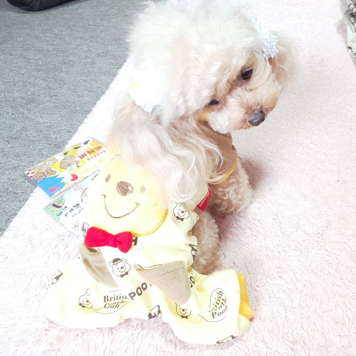 B9a94dbc 1ab0 4234 8807 aa4fb9f354c7 1578402201103