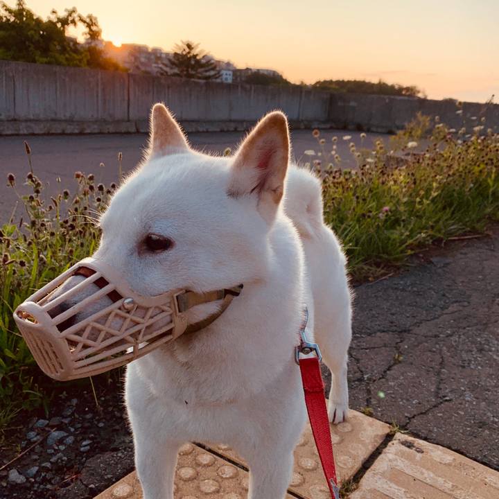 B9a953b3 03fa 477d 9066 4164c0e53bfa 1566854948959