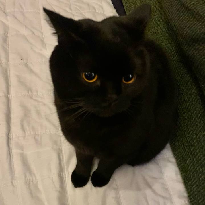 B9a96eed 6da2 4c48 9640 c267f3aee1ae 1673010164789