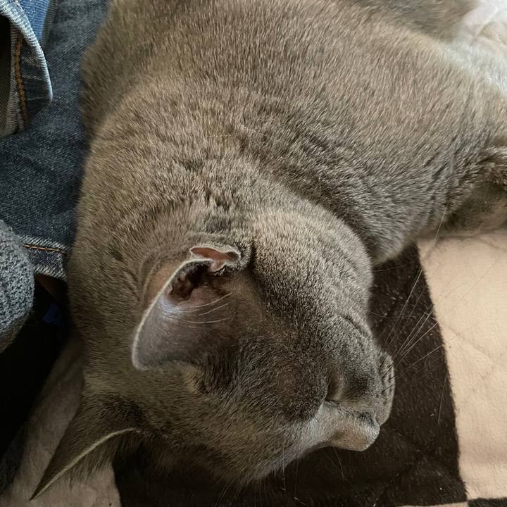 B9a97b56 f7e5 46cc 91fe a5a45f4852ea 1695861548454