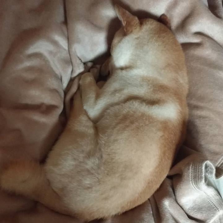 B9a98155 8ea1 40d4 83e5 ec37584bd990 1555332049310