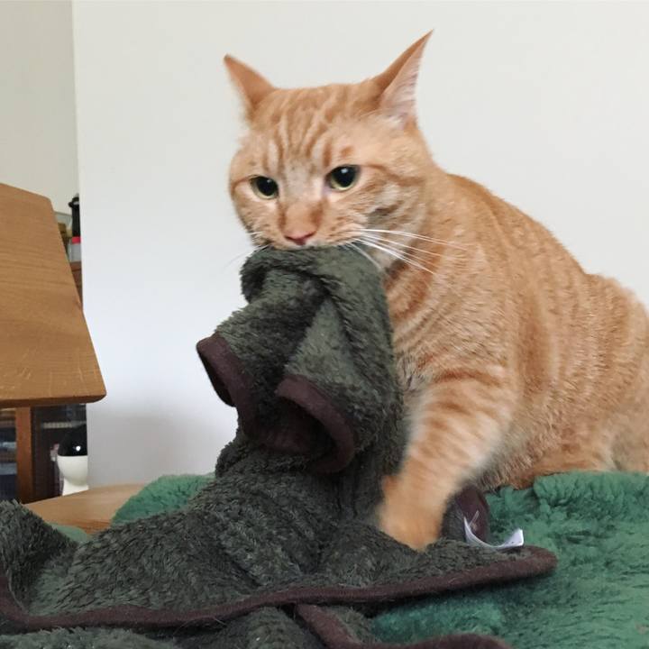 B9a98c1f 2526 4464 b6db be3f48470640 1556404437792