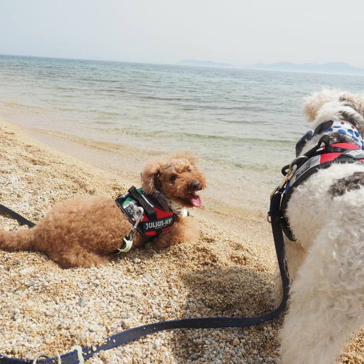 B9a99c97 5964 4df8 8767 814c7a12736c 1522561406407