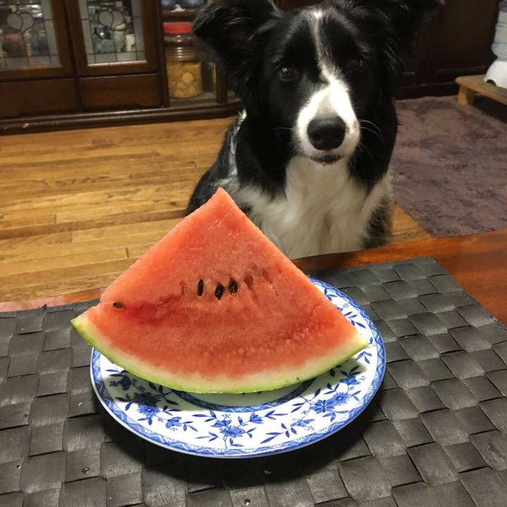 B9a9b77f d189 47be 9a9c fefd8bc7332f 1534222406537