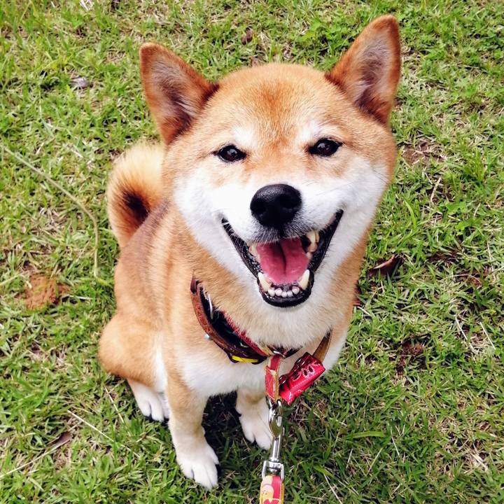 B9a9c1df 03c9 49a0 8876 80cab9a27f6c 1593592846696