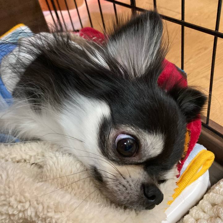 B9a9d80a 6bef 414c bda3 29053f46712c 1668869087145