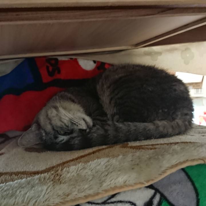 B9a9e689 9efd 4813 9297 66d1d316ed0c 1571830234355