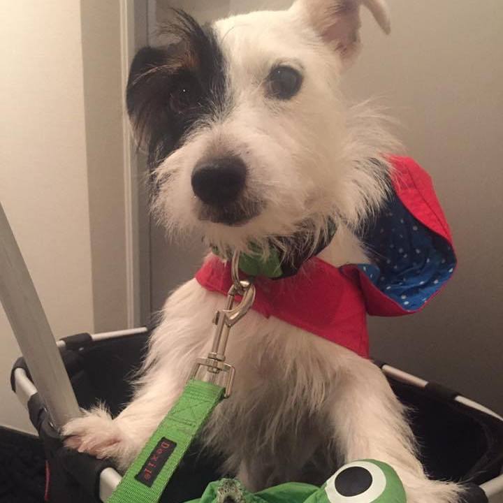 B9aa5e08 414e 4148 a718 78b89f663912 1658408964784