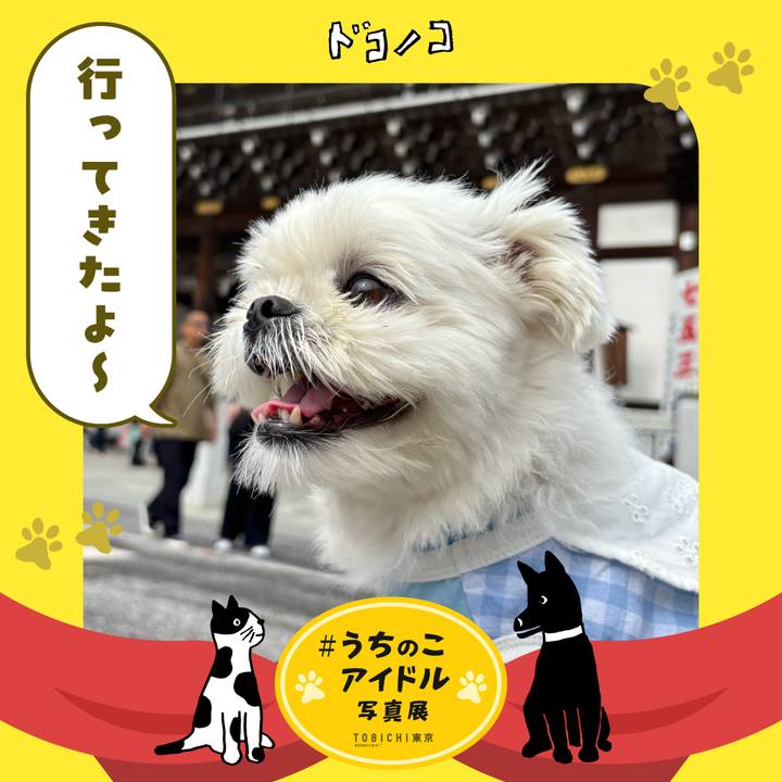 B9aa7e41 c46e 452f a78c 956d710289d7 1761569525502