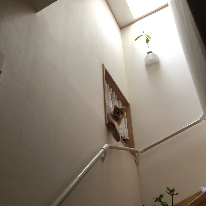 B9aa946d f3a0 4b08 8bd8 84eaa235764e 1590280512836