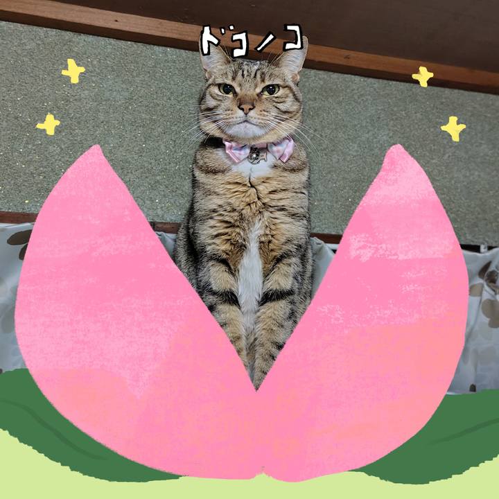 B9aa987c a04a 4460 a070 acc733305471 1772289379983