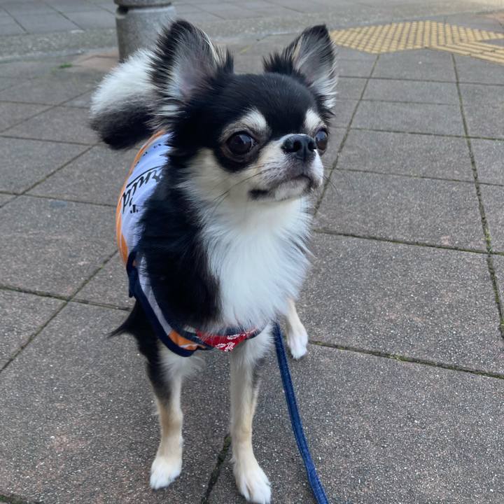 B9aae2b3 39b8 4ad0 9ea0 17139f685621 1619844419056