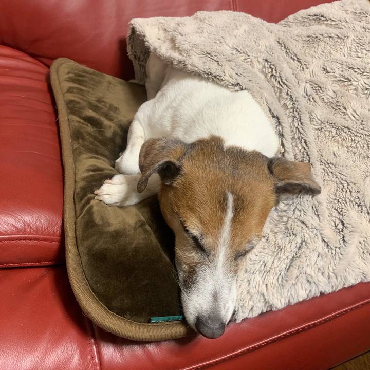 B9ab1ee4 81b2 49e7 a1bf 07ce40c38443 1544017702913