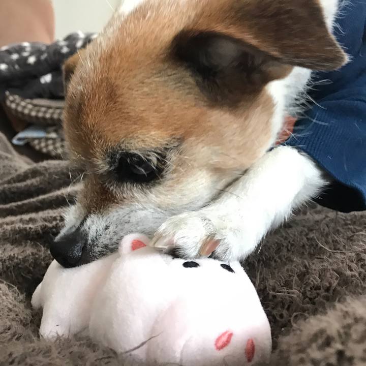 B9ab31a8 cb5a 4a1d 9692 ef3f46975e2a 1585372207926