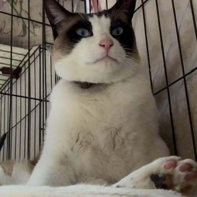 B9ab5275 7345 4413 a3d2 73b921123fbc 1747132460591