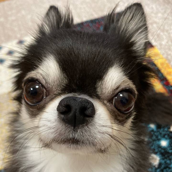 B9ab6147 85f3 4cf2 a909 9bd49ddf8354 1699742633216