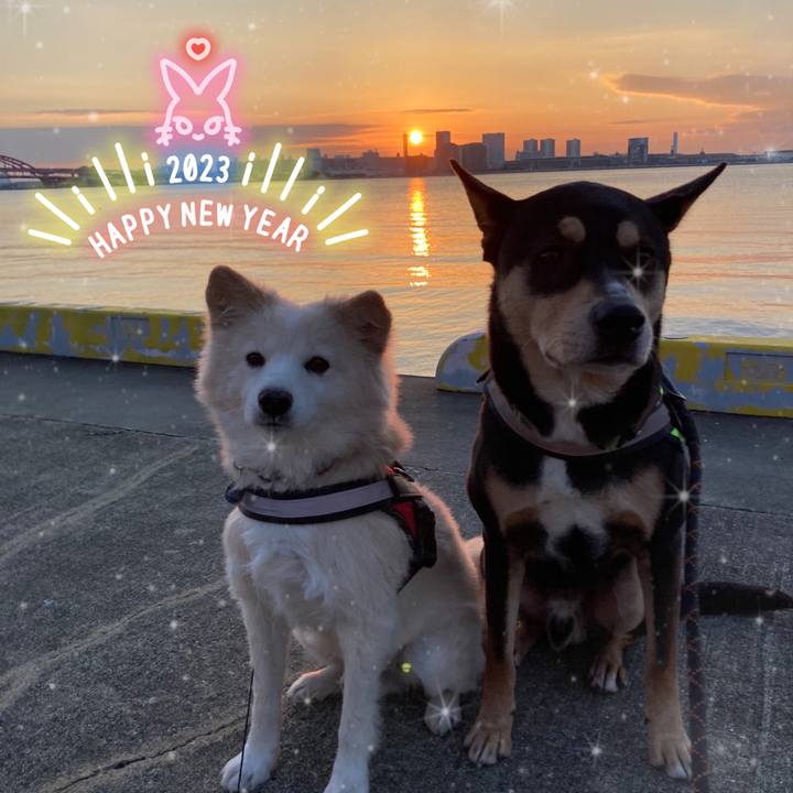 B9ab7a0a cfc3 4b31 ae2f de1c641d065f 1672573150090