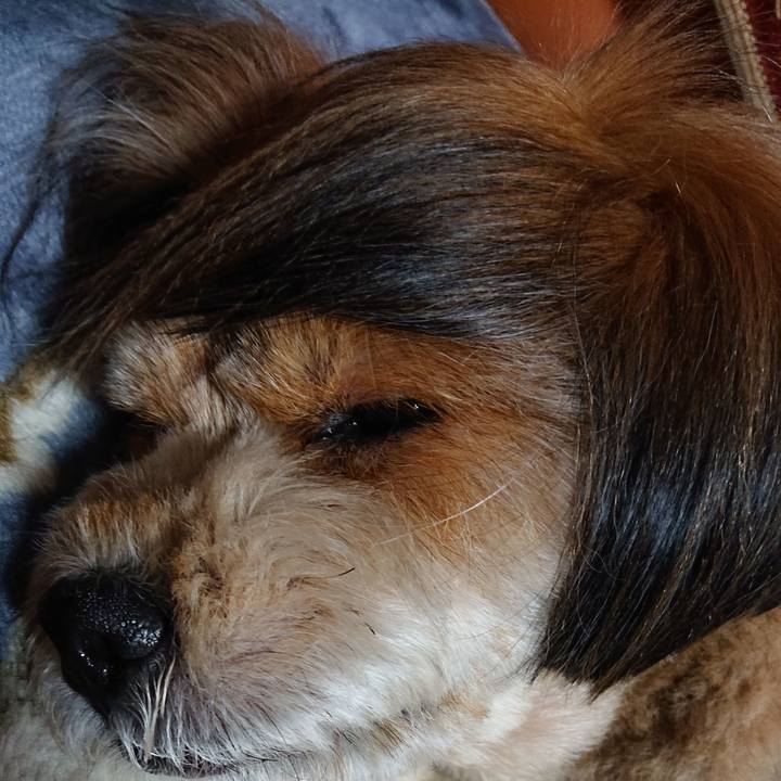 B9ab9f13 b414 4edb bd72 f0a84e13955c 1581511716012