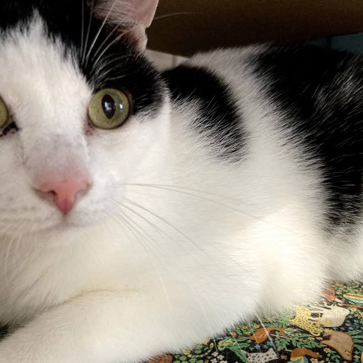 B9aba312 576a 434a ad6d a3887a9d2b1a 1570447877191