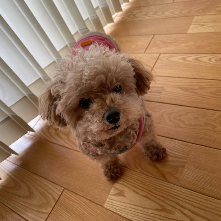 B9aba3cc d43c 44f4 9f9f 697060554d18 1771557567173