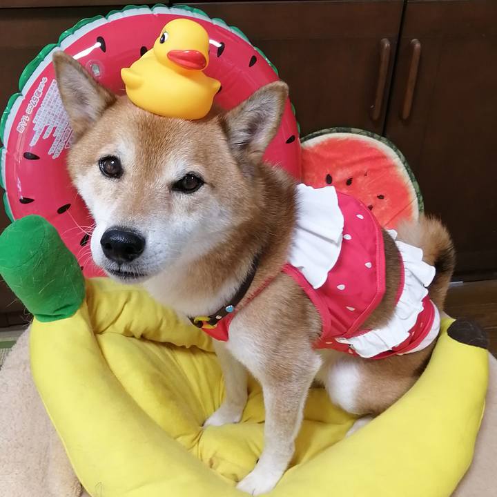 B9abc287 8d7d 4da3 8619 209e2cf30ad7 1692944359161