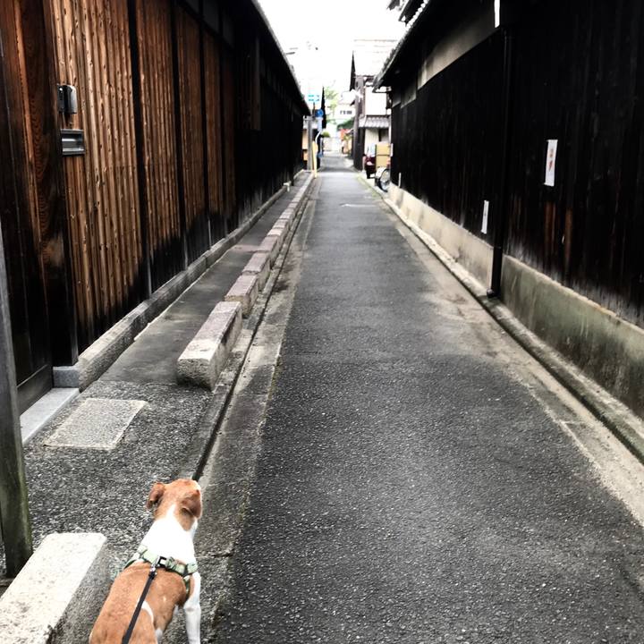 B9abdeea ddd1 4f67 89c8 84e1acb92521 1590829781730