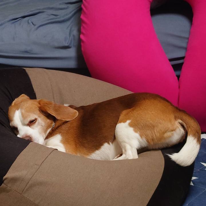 B9abe7cb 0930 45f7 b2d9 d066f5e38d30 1741076966266