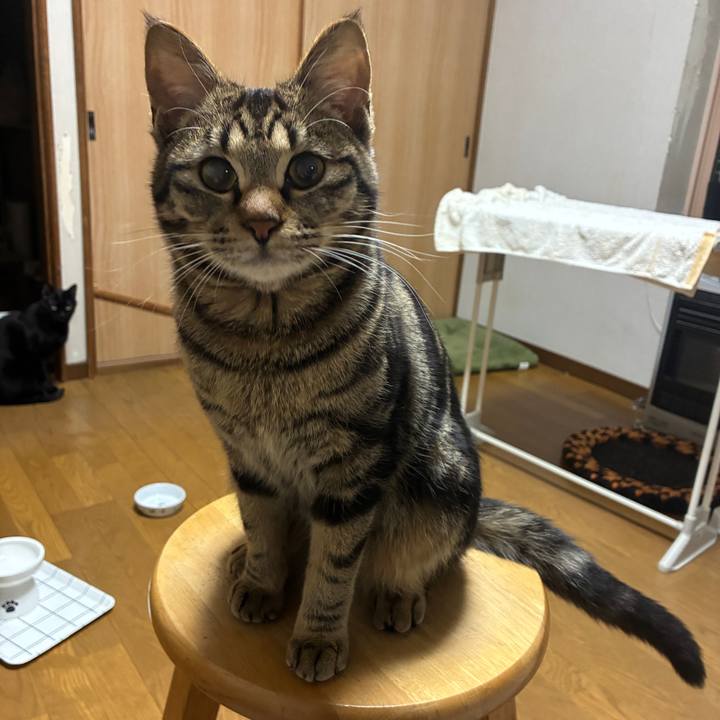 B9ac1784 8c17 4749 846d 83e6e09a3d40 1746016654752