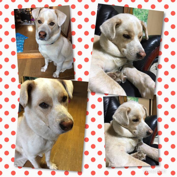 B9ac1a65 bc4d 4f8c b411 03f59233e5f7 1514204741639