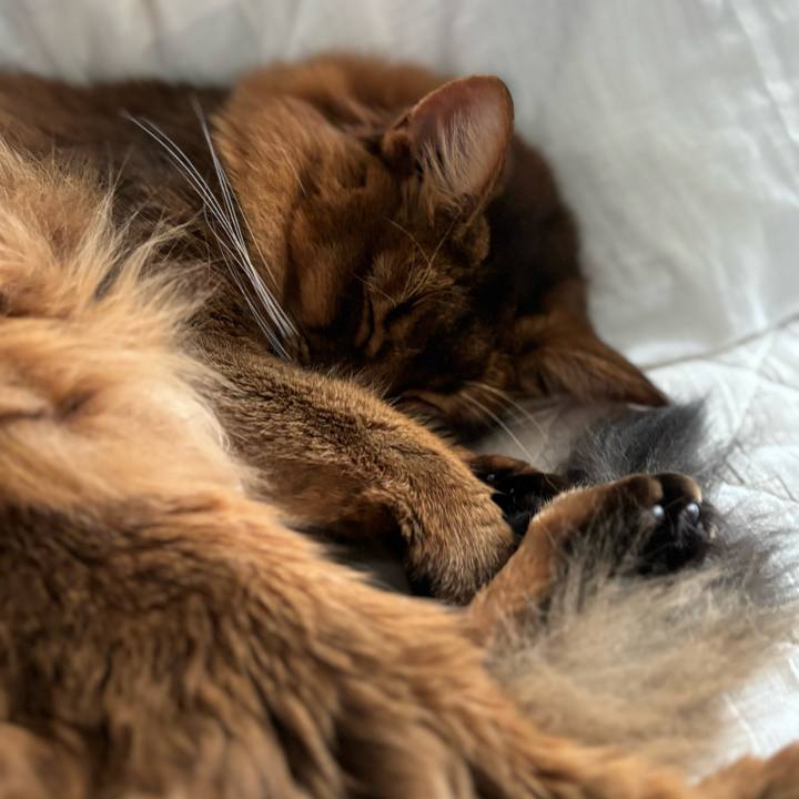 B9ac8da7 9a21 45f0 9485 72c7c6381987 1762760285960