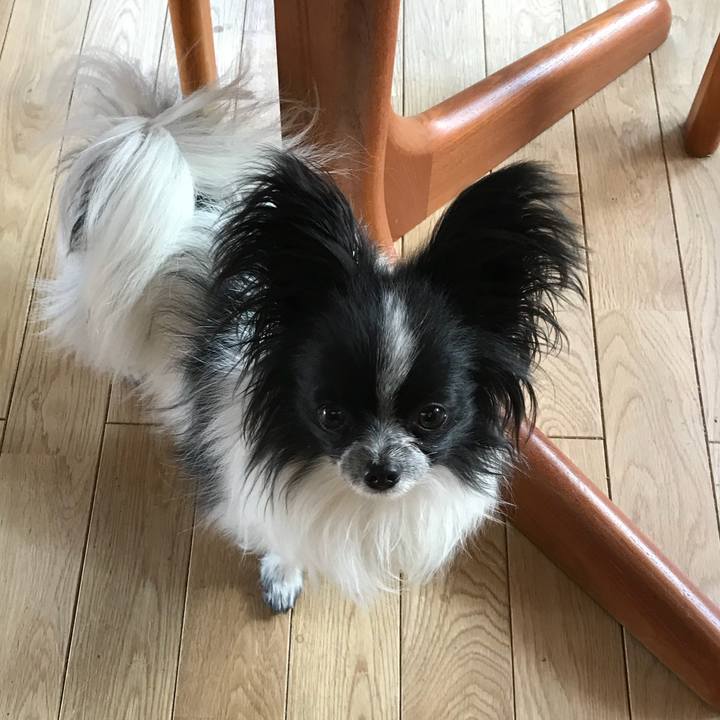 B9aca42d dce4 4669 8fa5 9300e87e7ed7 1519444552271