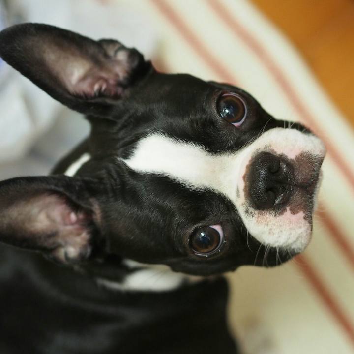 B9acba22 b7f8 4bb1 bc83 3059c04303f5 1523788471845