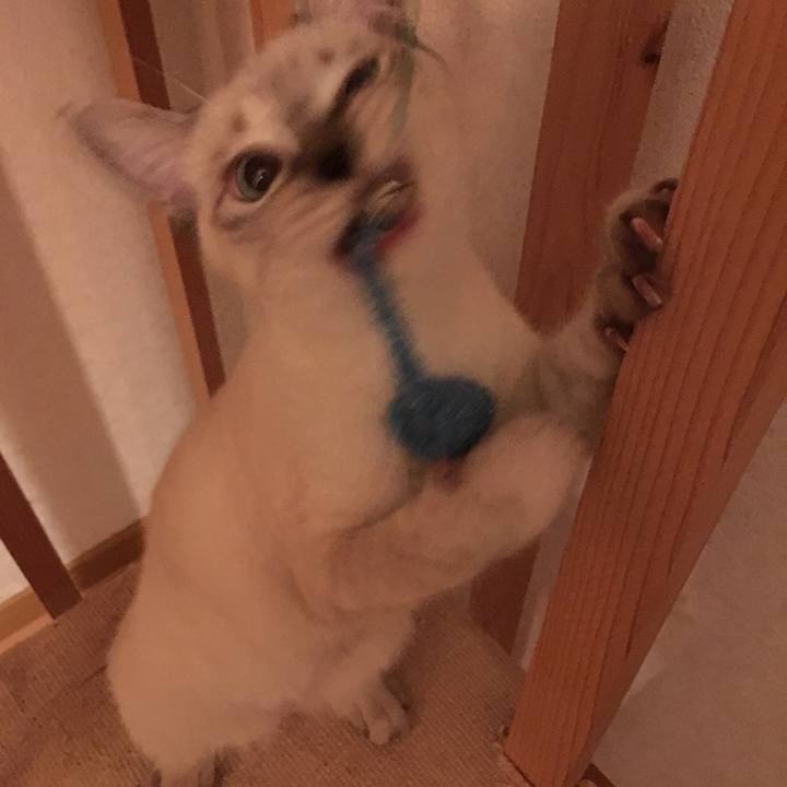 B9acbf63 e507 44ec bcef 1d6d49f48068 1537971138262