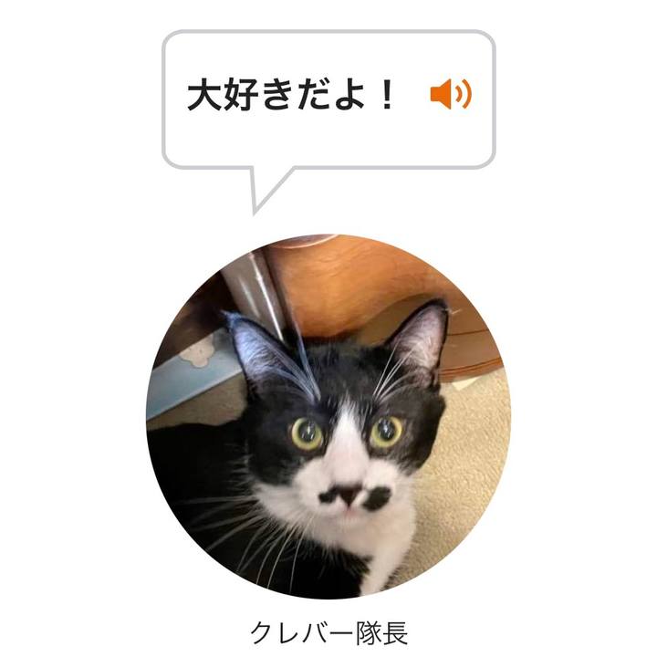 B9acf439 462d 470c a3e1 990b36d7495f 1650262485249