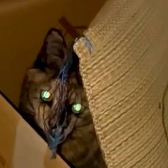 B9ad3ac9 c6ed 4c7f b778 eed55d0191df 1768855111521