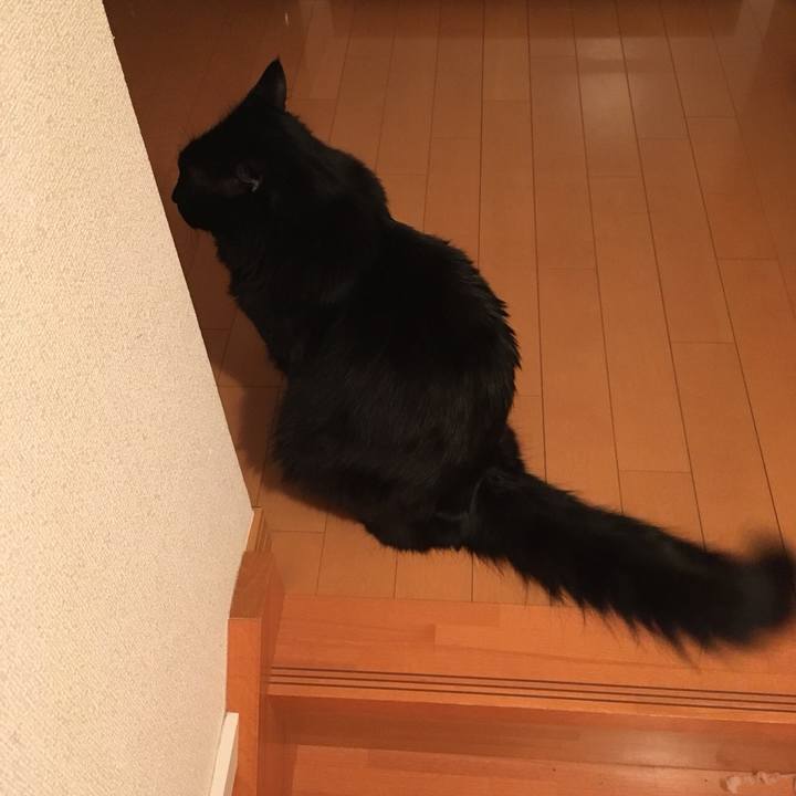 B9ad8b16 5ea4 4c96 af96 25bd04bb3348 1521723531143