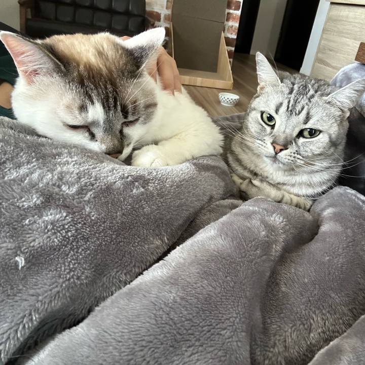 B9ad94a4 272c 4c26 b6e4 5bfba5f0007e 1683267569213