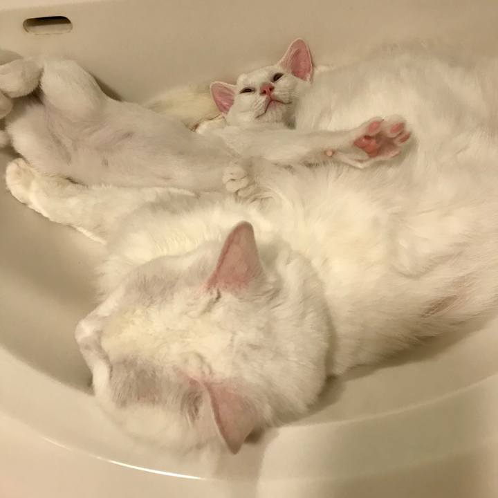 B9ad9a28 0644 4fad aa3e 69bbb075f69c 1567551993484